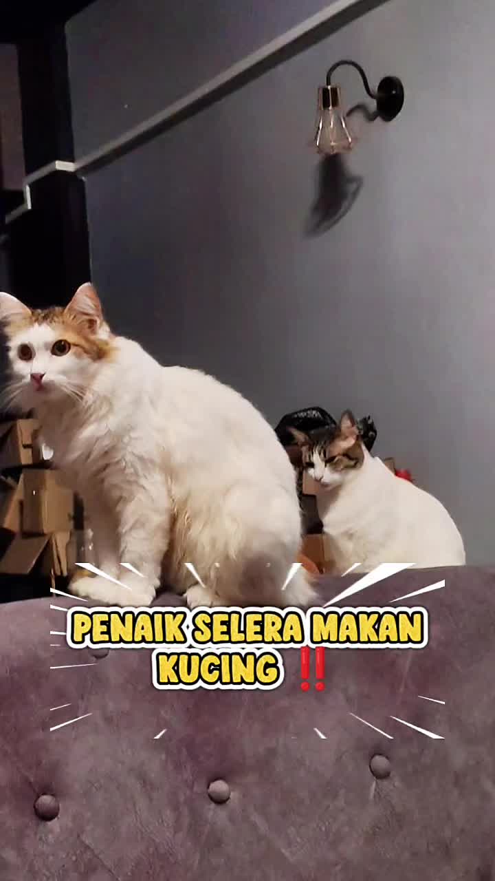 @Norazrena | Racun Tiktok