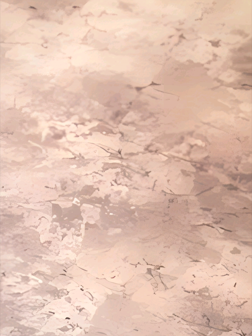 @𝐌𝐨𝐢𝐧𝐧.