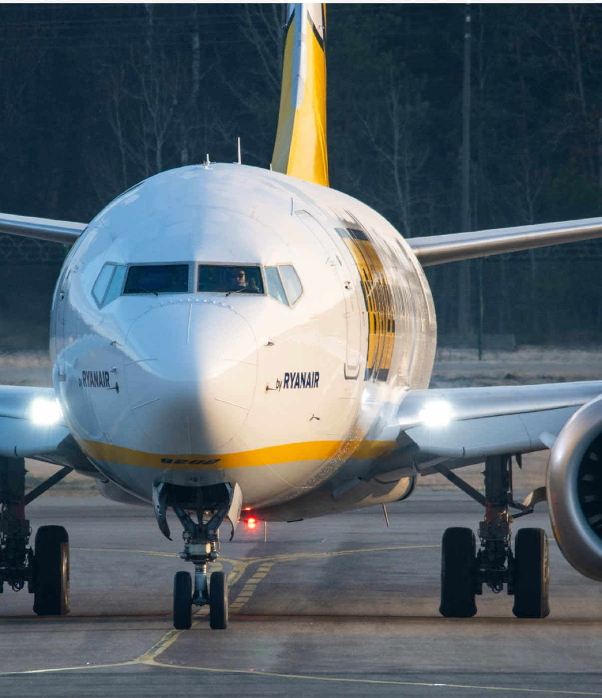 @spotterkubus