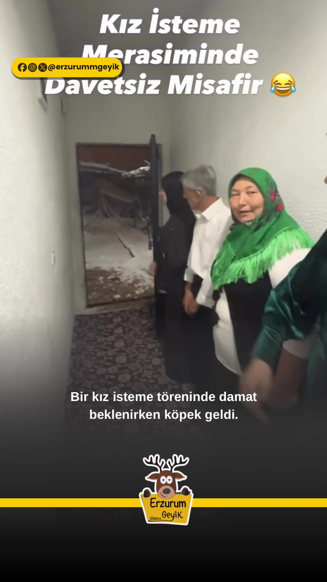 @Muğla Geyik