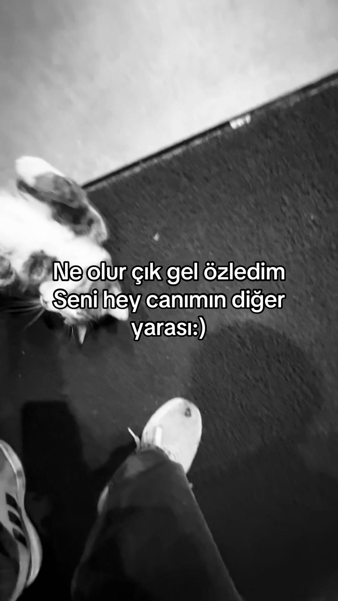 @B