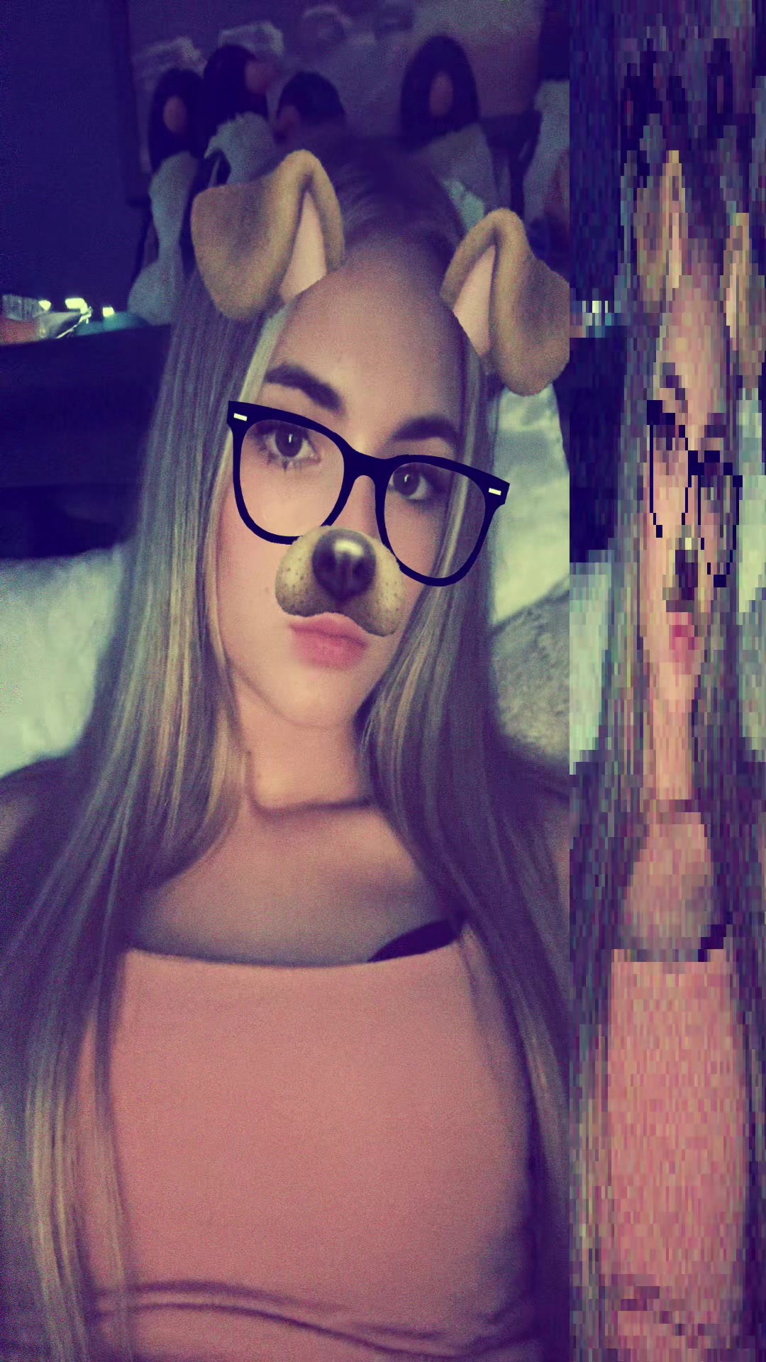 @duck.inabox