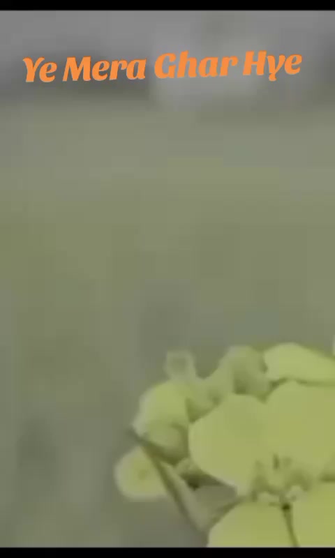@dashrat0548