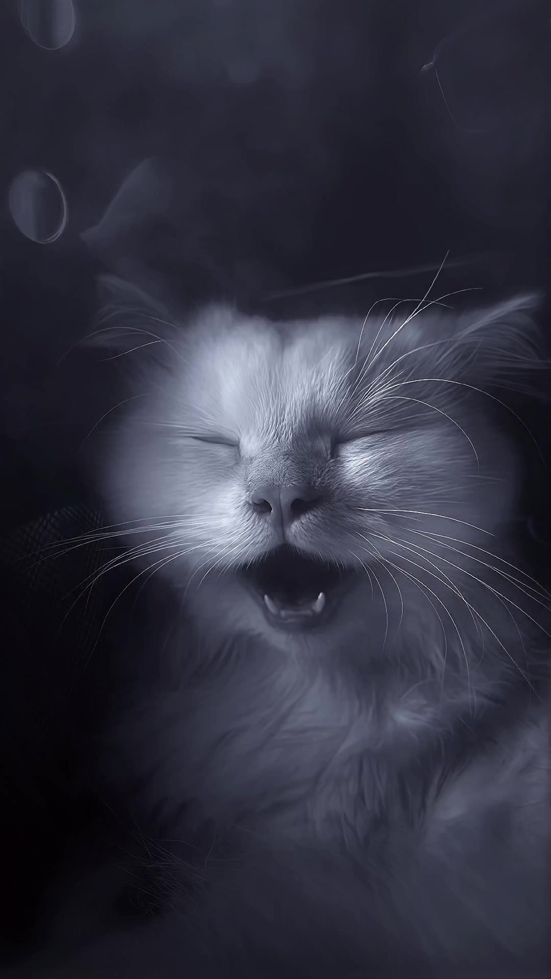 @Vbotメ