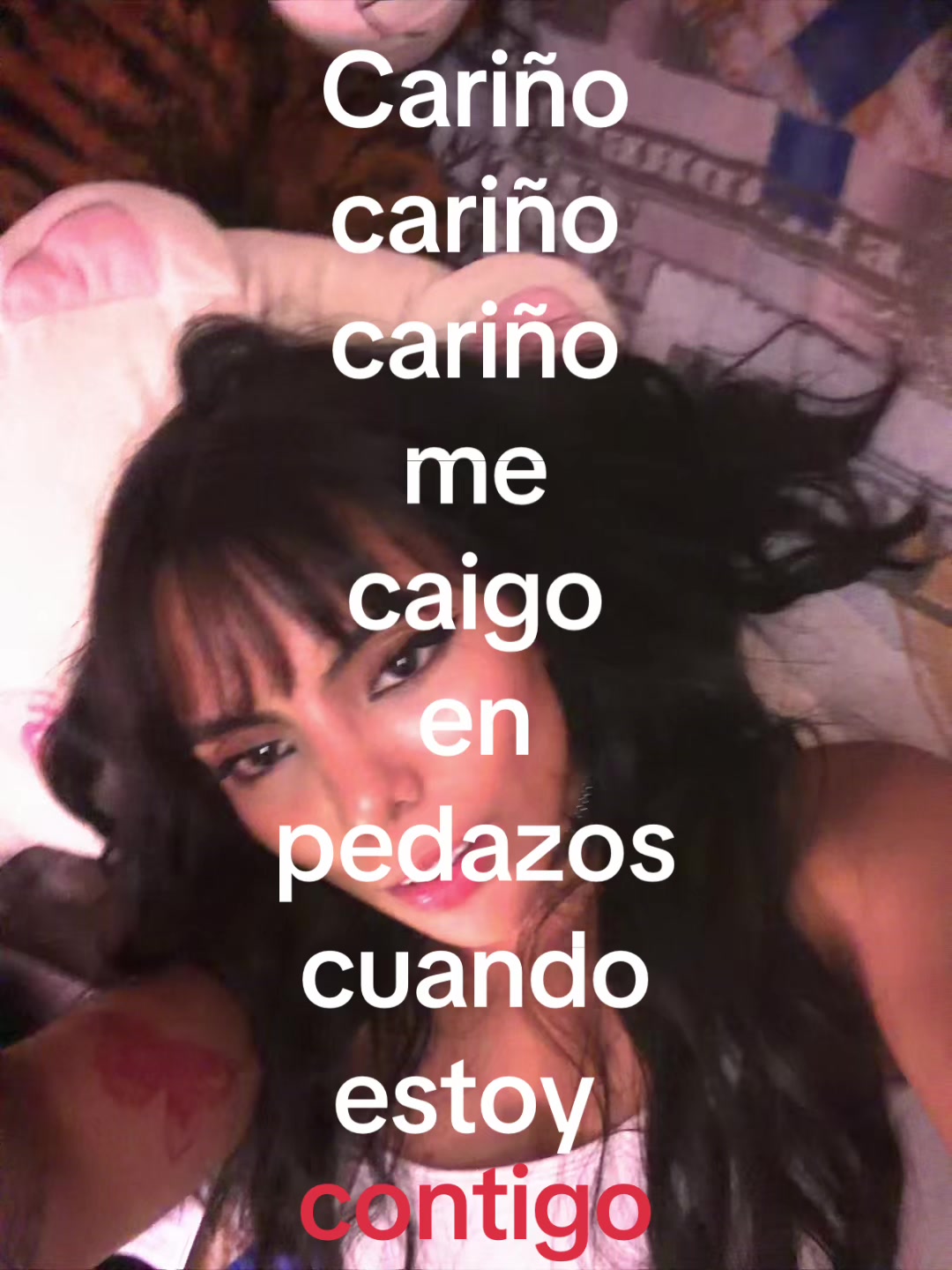 @lacamicanta004