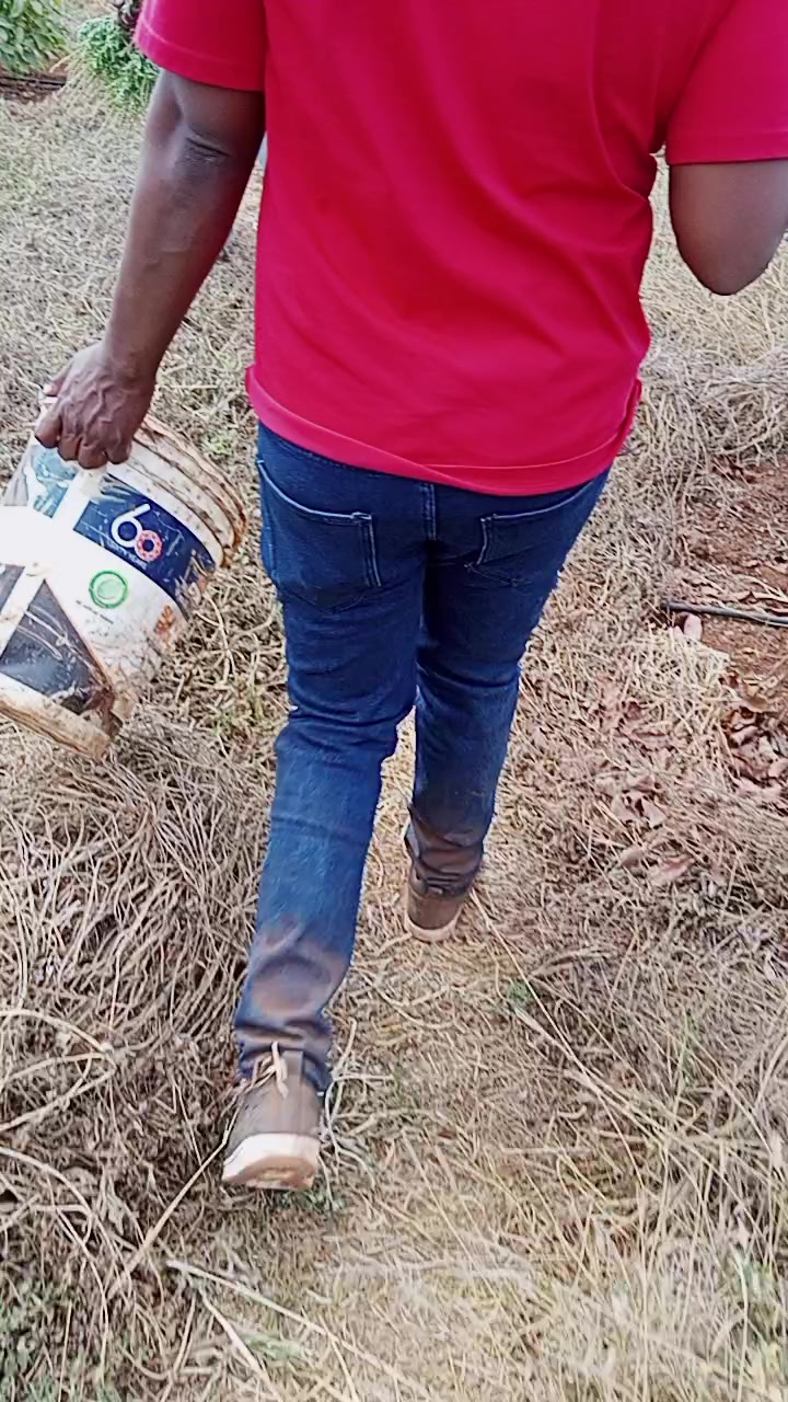 @hosealandscaper