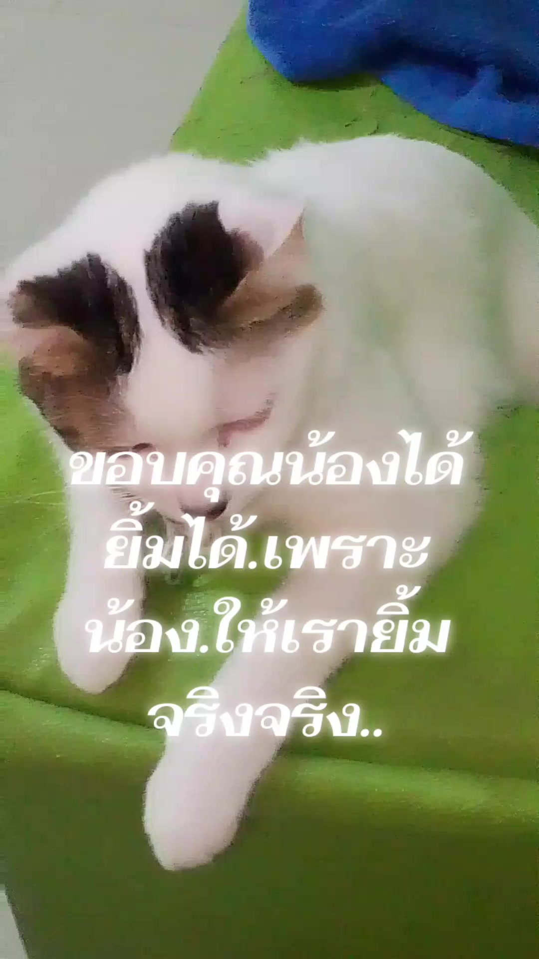 @Thipgoodluck