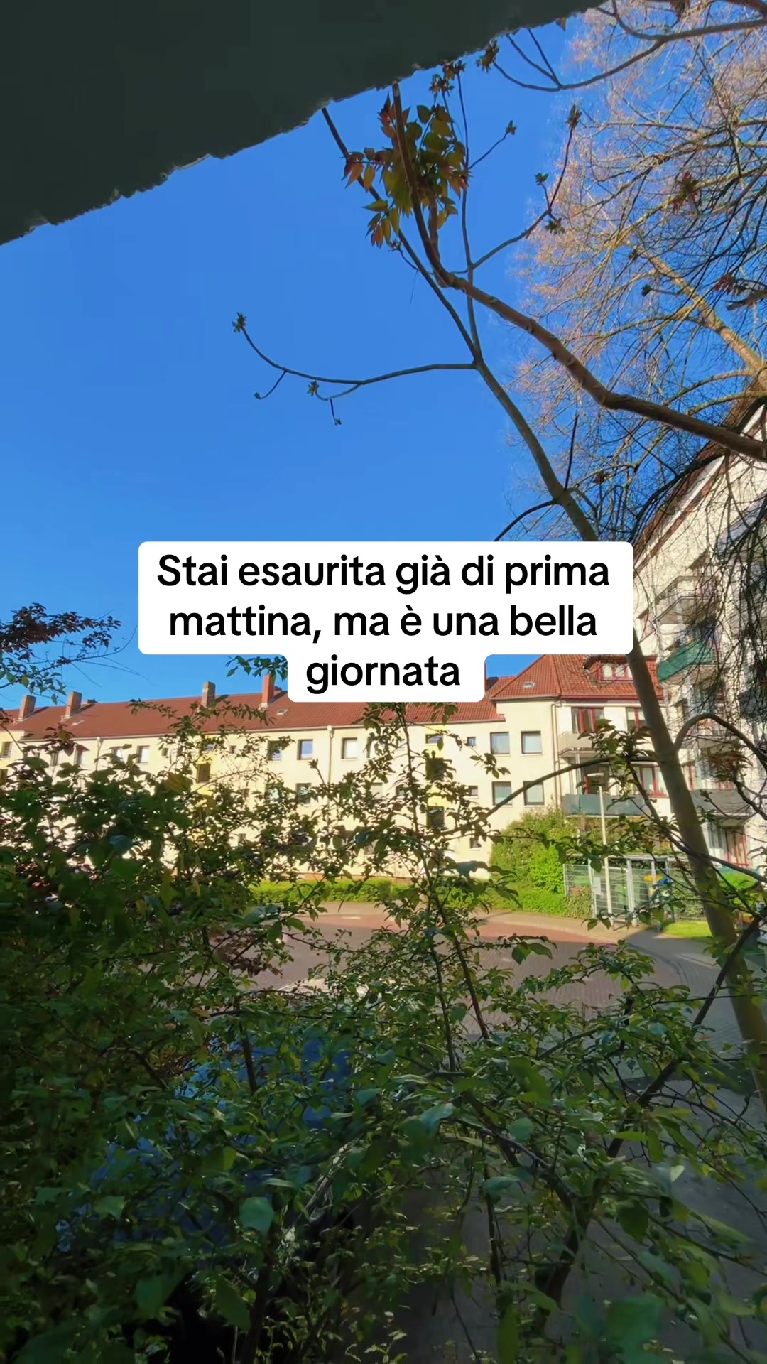@Anna Cilia