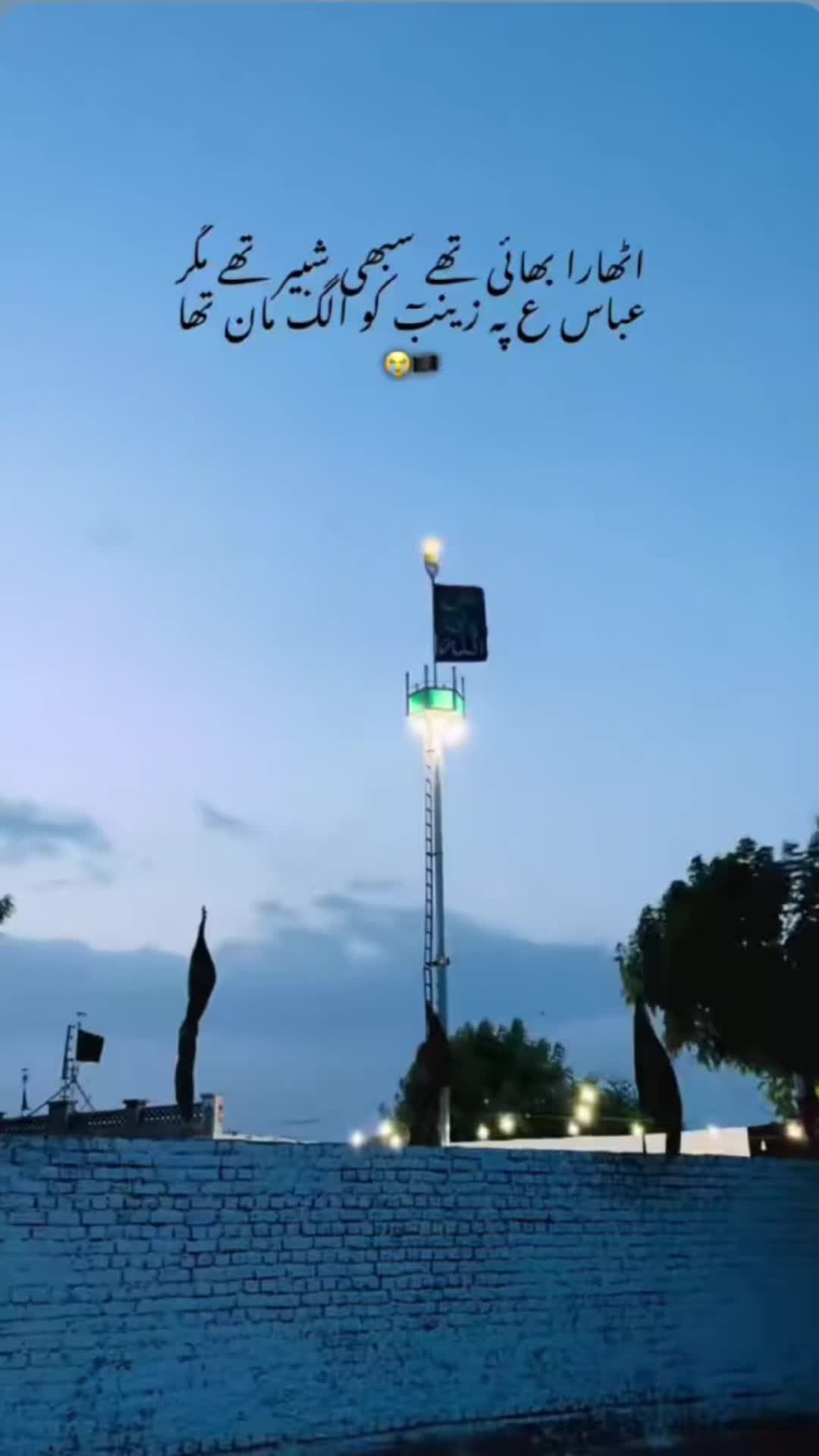 @☠️👑MASTANA MALIK🇵🇰🇲🇾