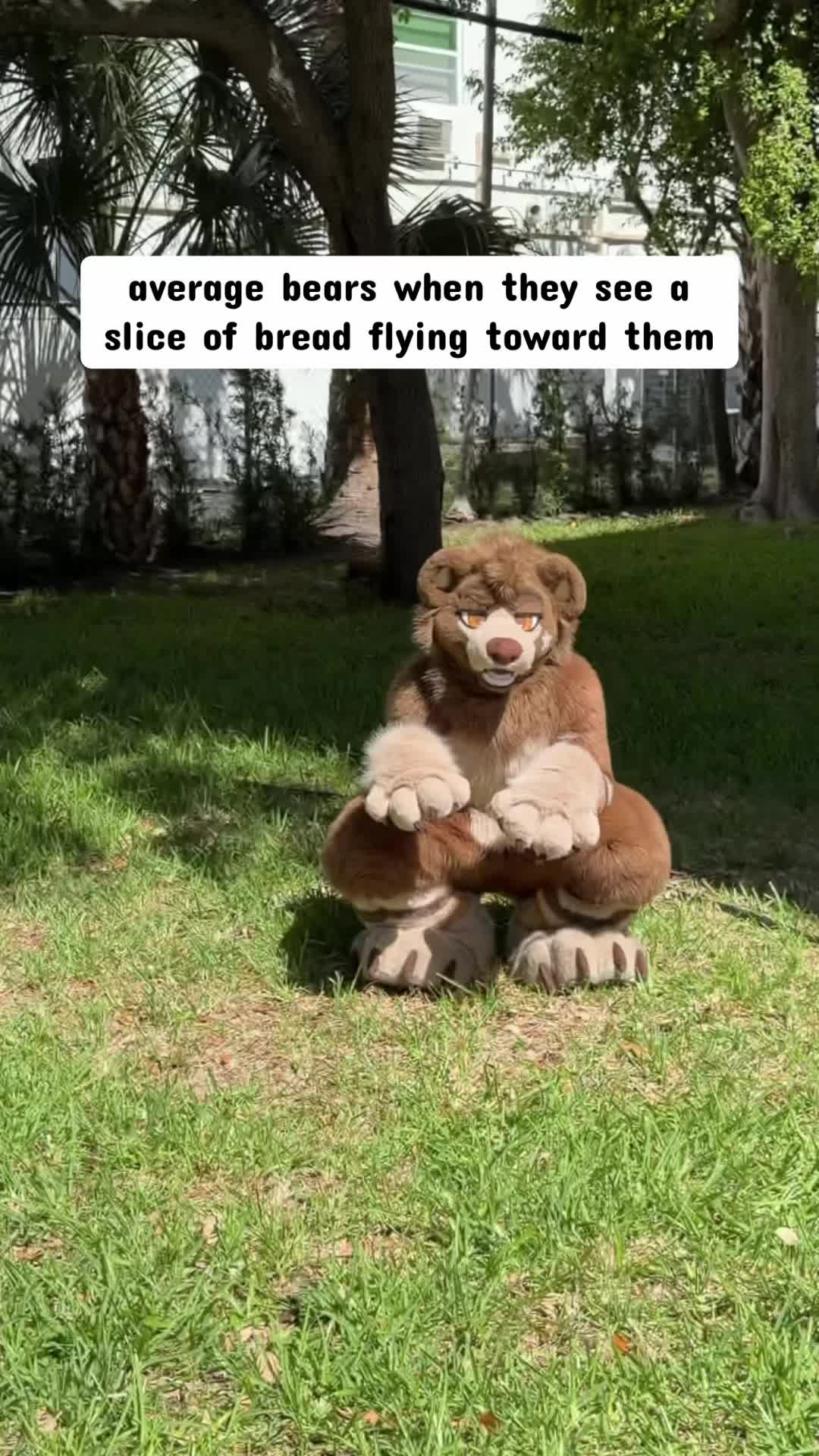 @Boof