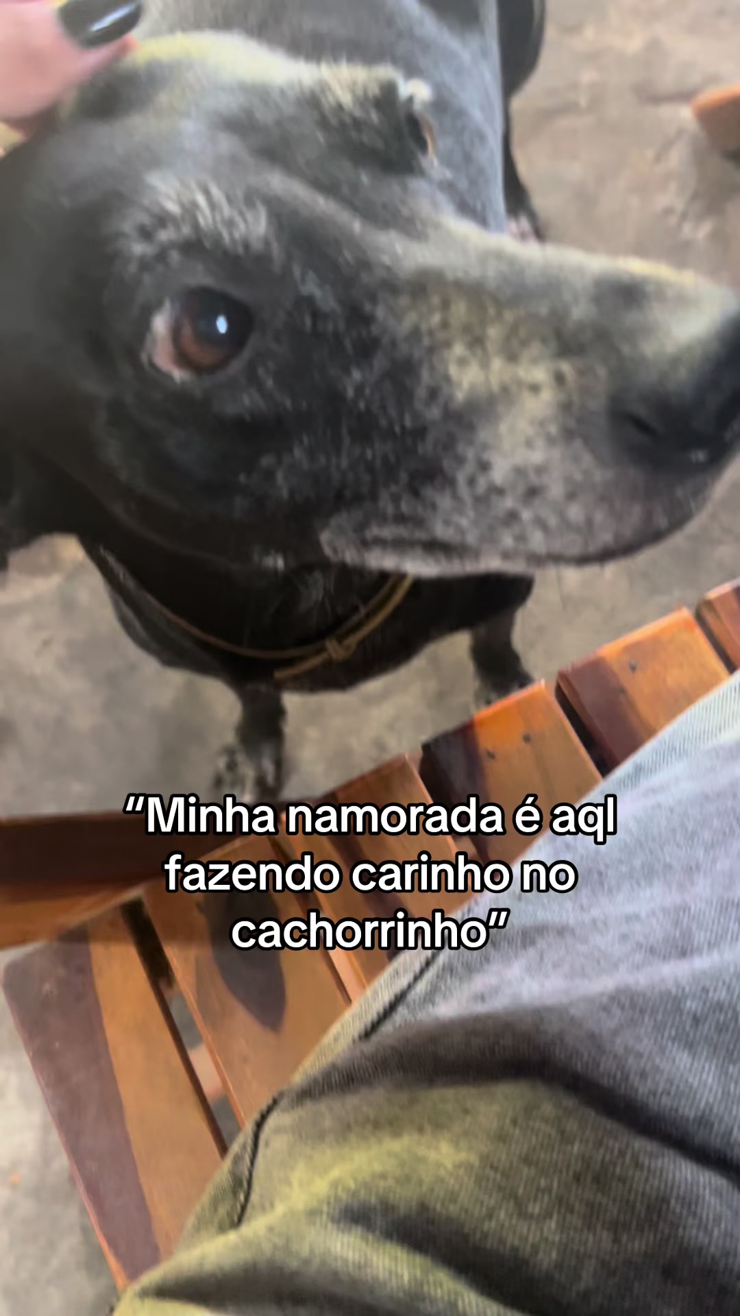 @Gabi🪭