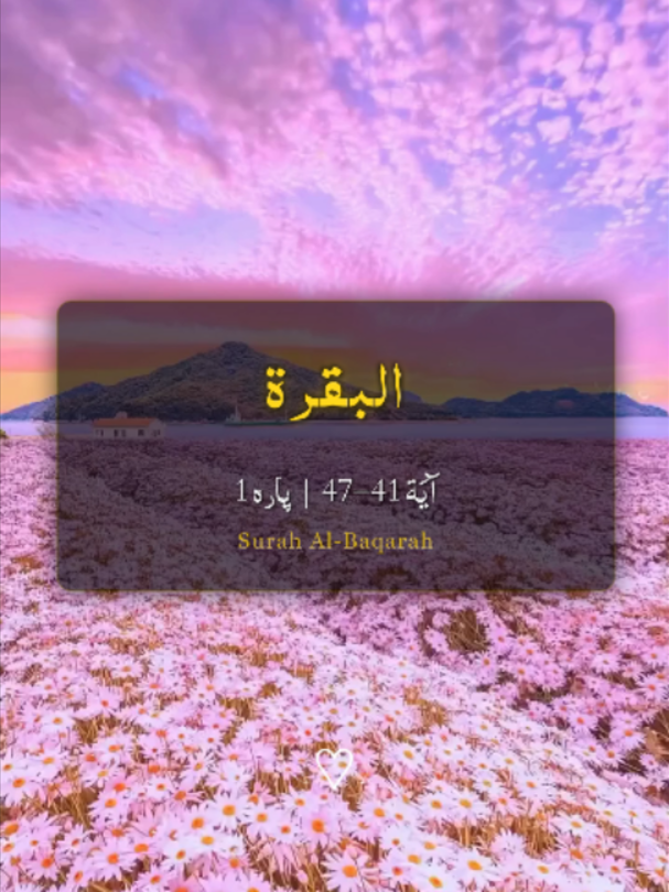 @❣️ Words of Allah ❣️