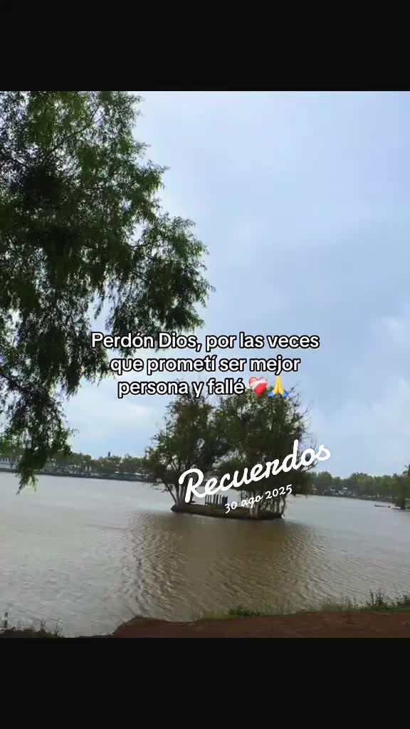 @Edwintzoc