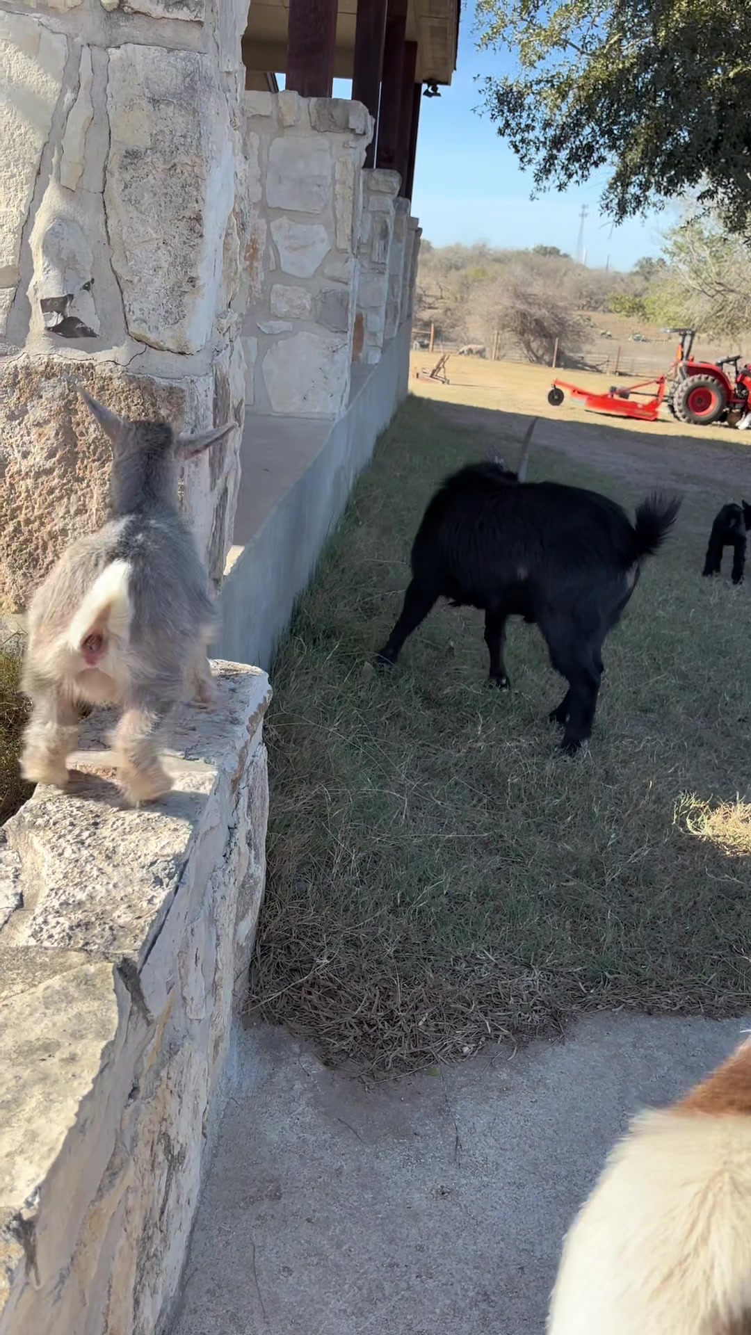 @JusticeRanch
