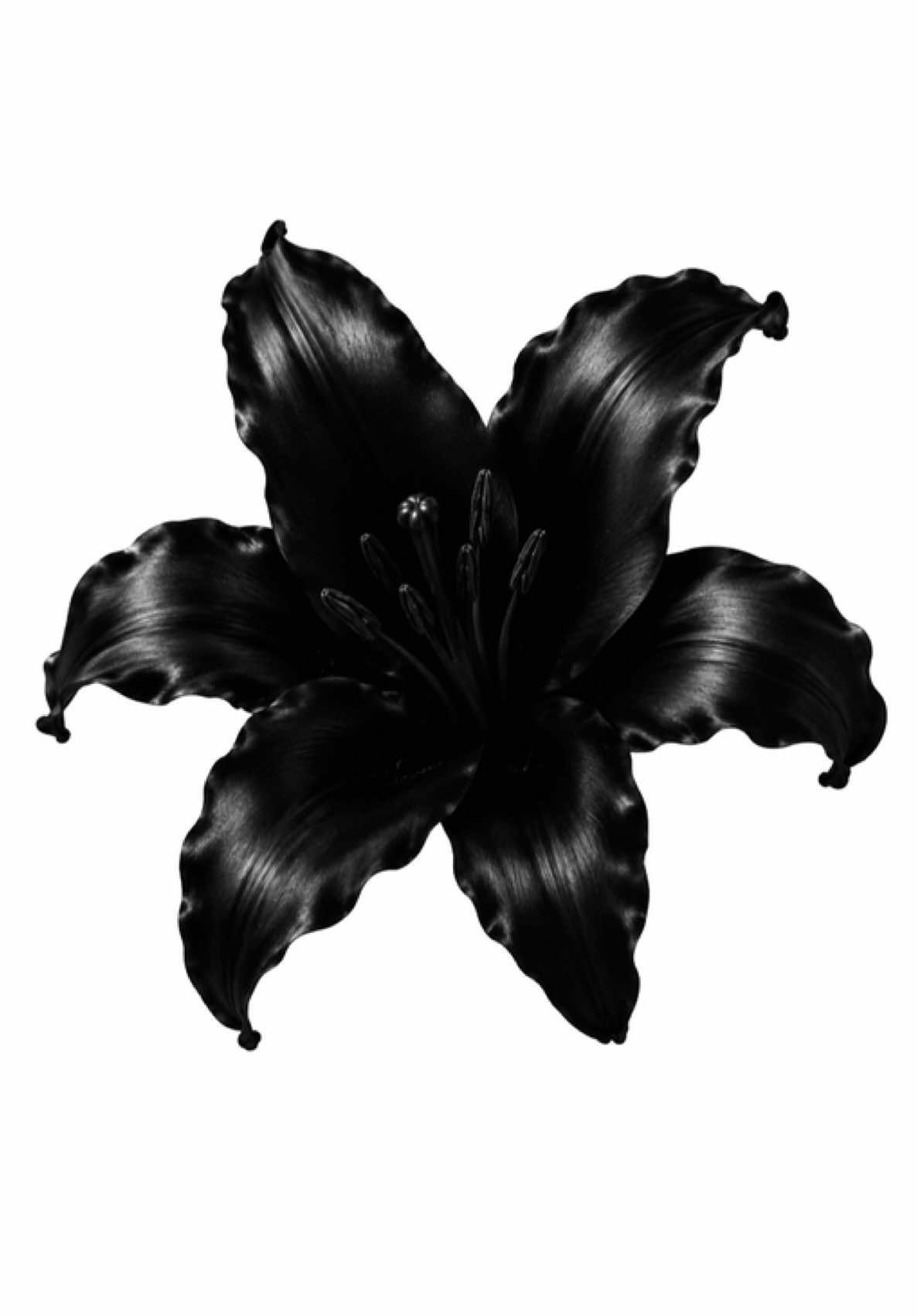 @𝖉𝖎𝖒𝖎♱