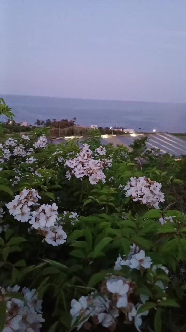 @⏰️ 거꾸로 가는 시계 ⏰️