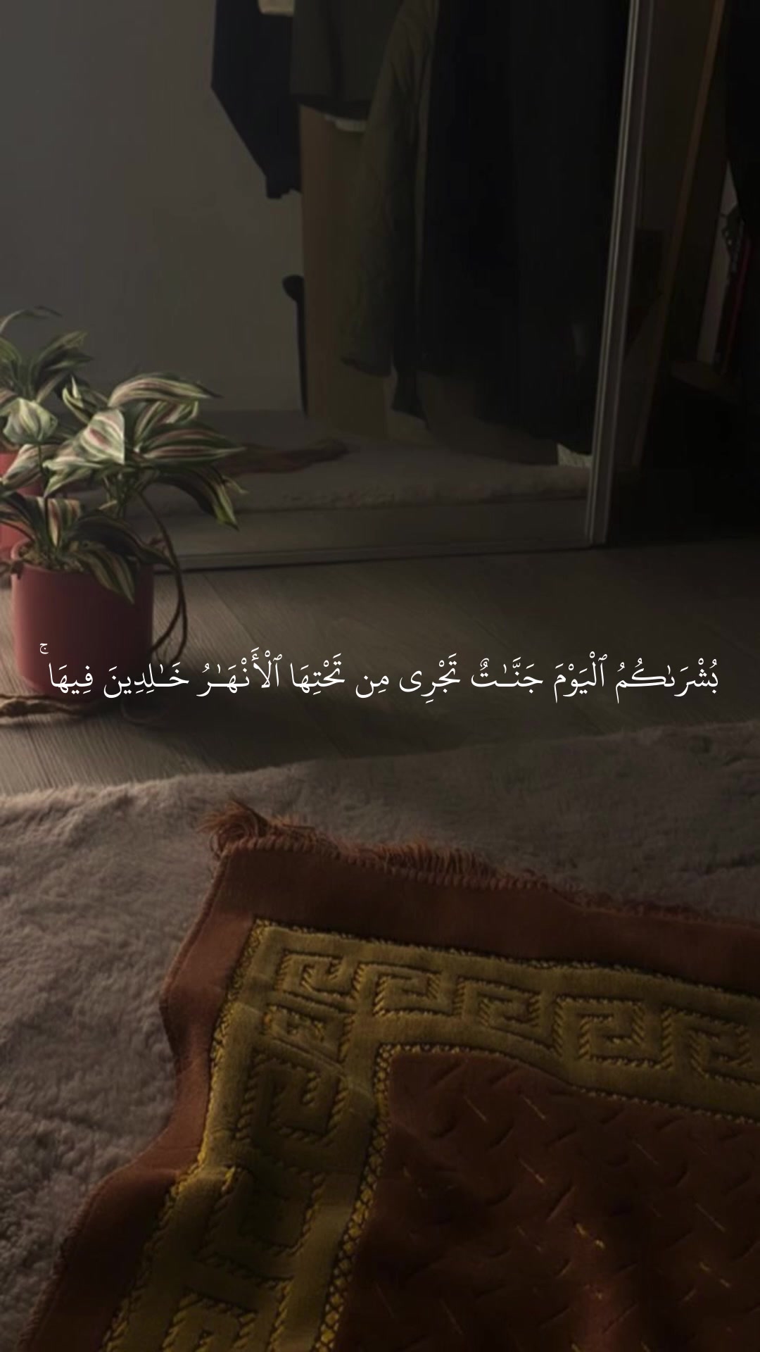 @Quan|قران كريم