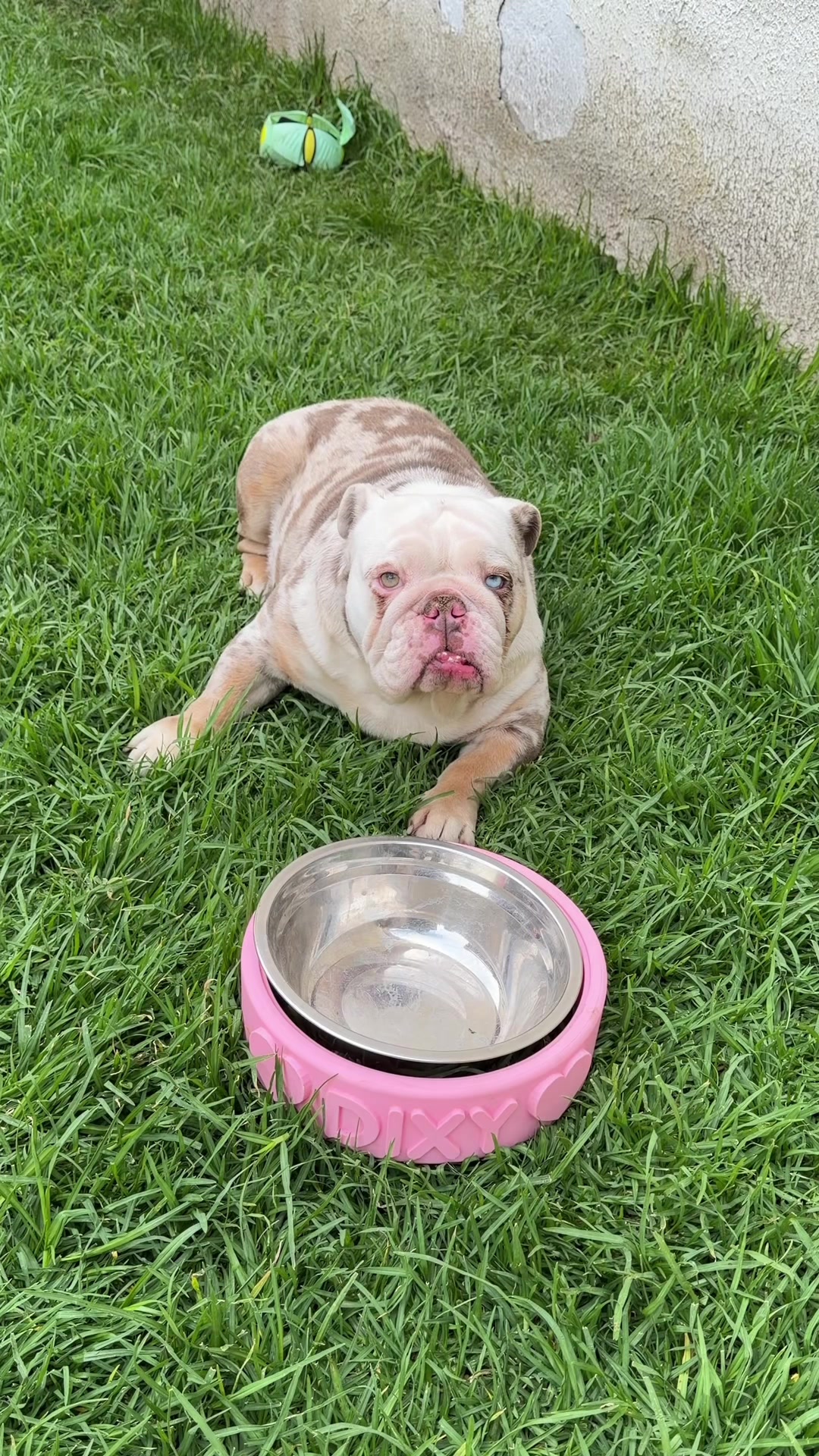 @Xavi Monsivais