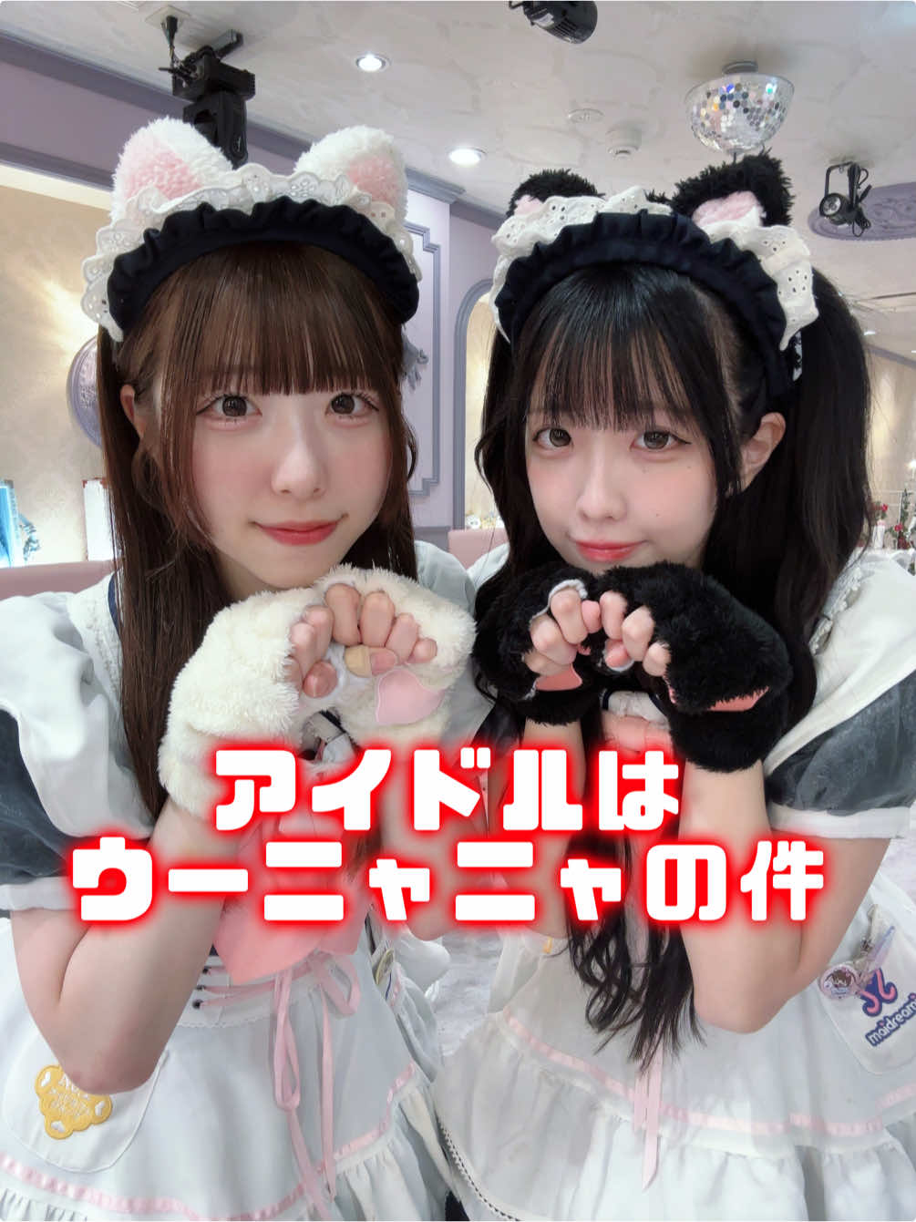 @めいどりーみん大須招き猫前店