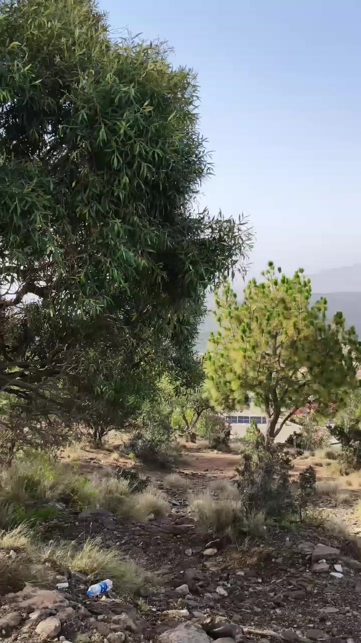 @muneeraslam_0786