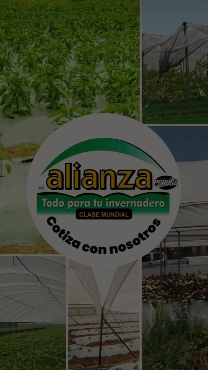 @Agust&iacute;n Ram&iacute;rez Guzman