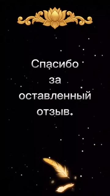 @NadinDar