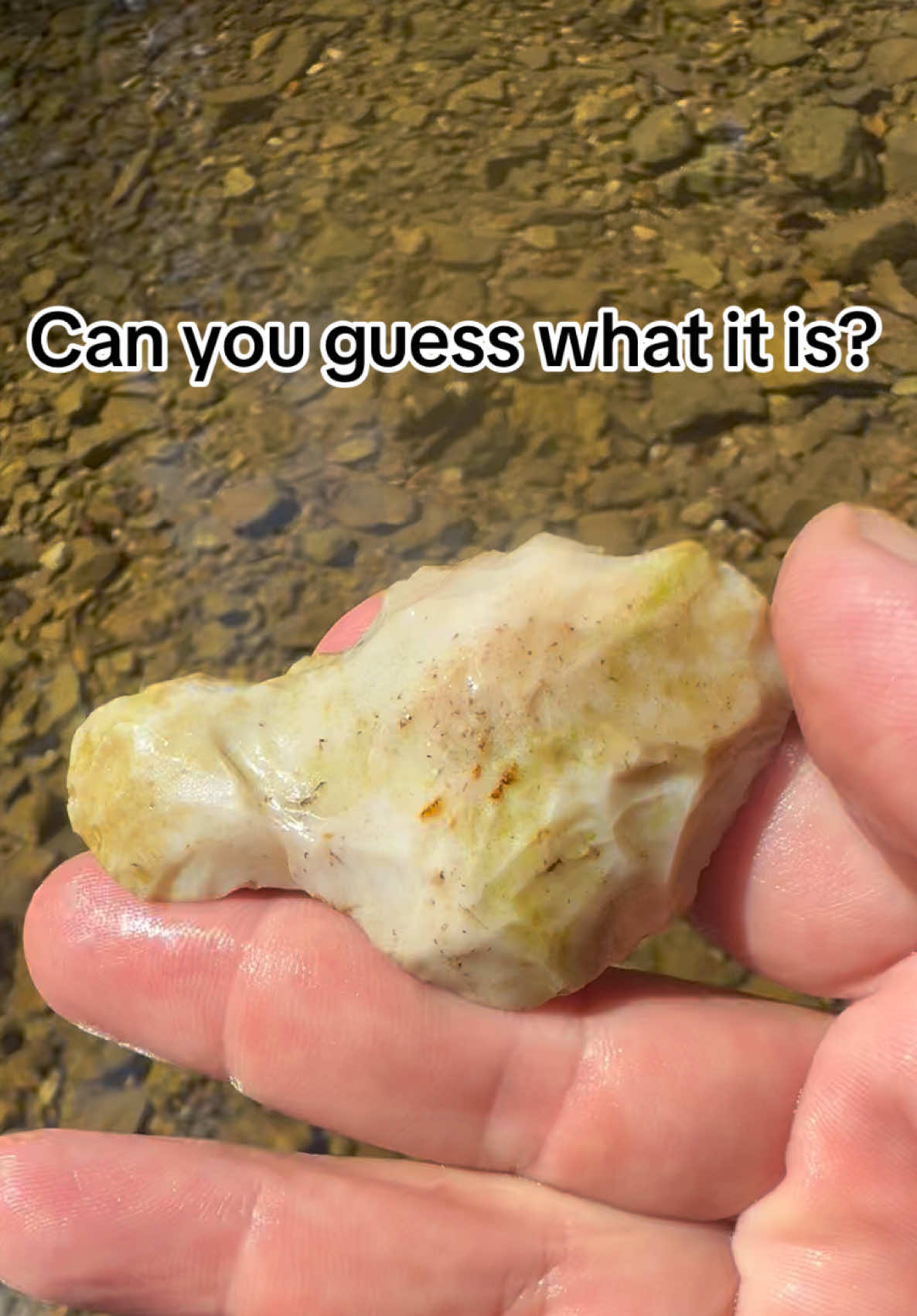@OGBringFacts