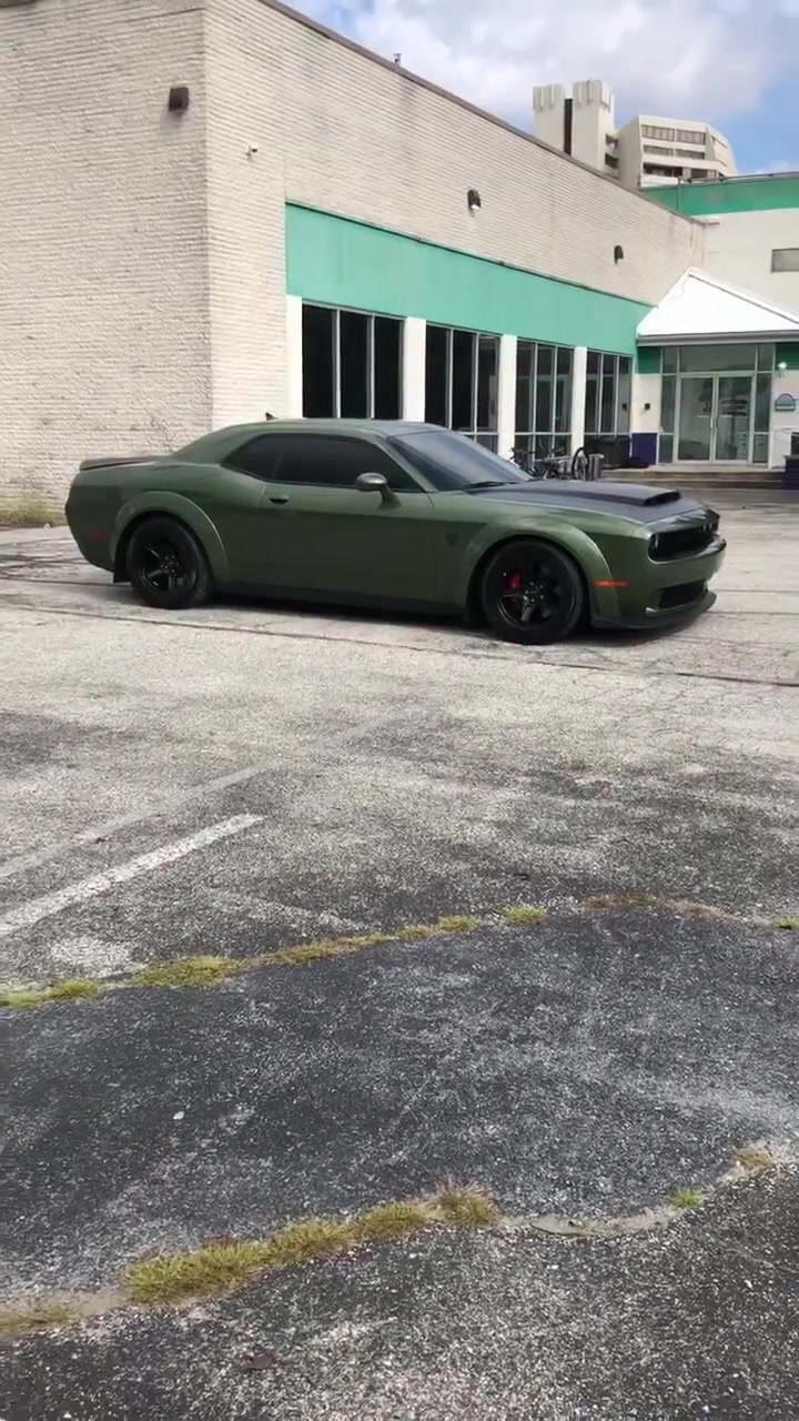 @Dodge Expert