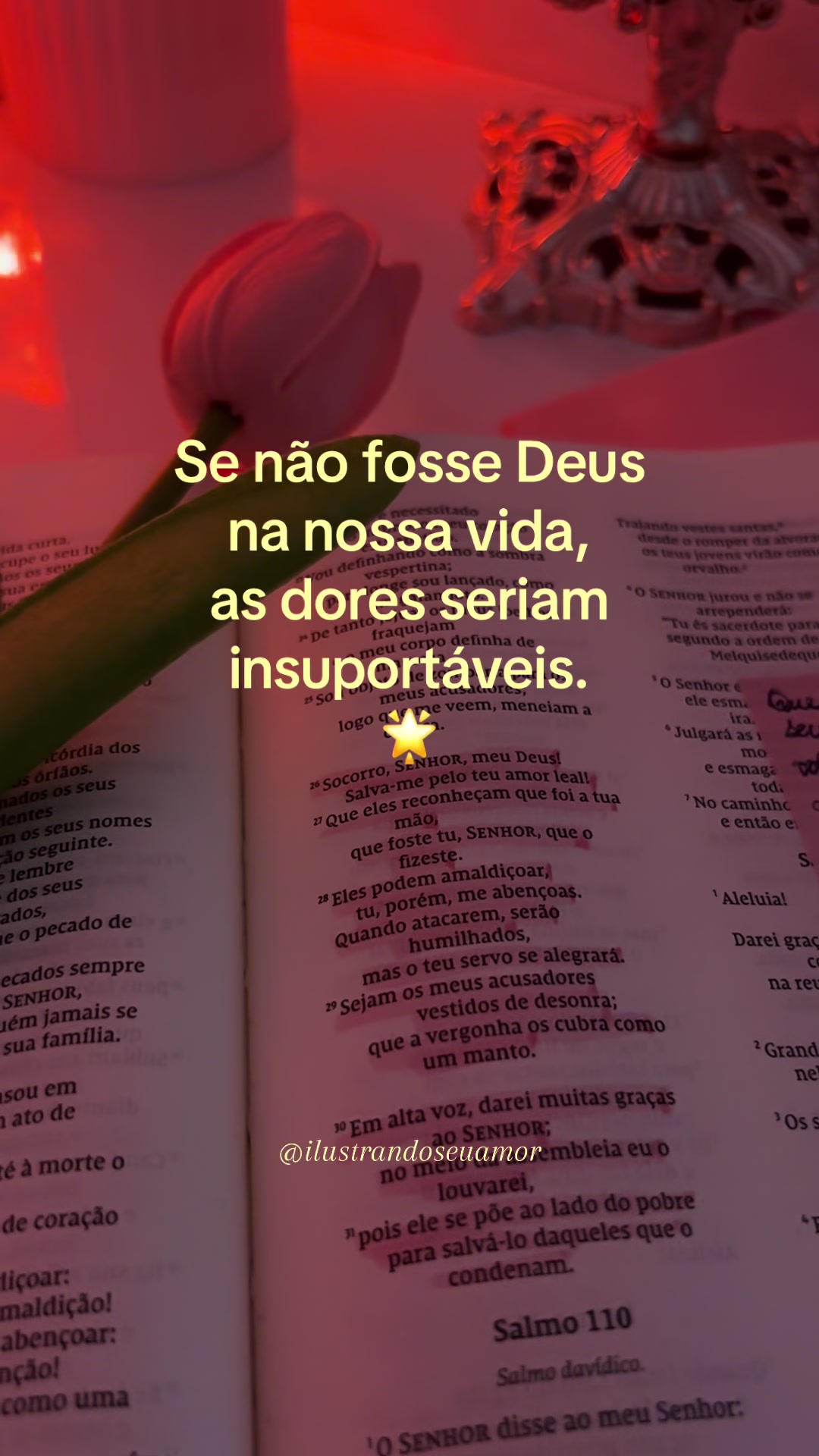 @Ilustrando Seu Amor
