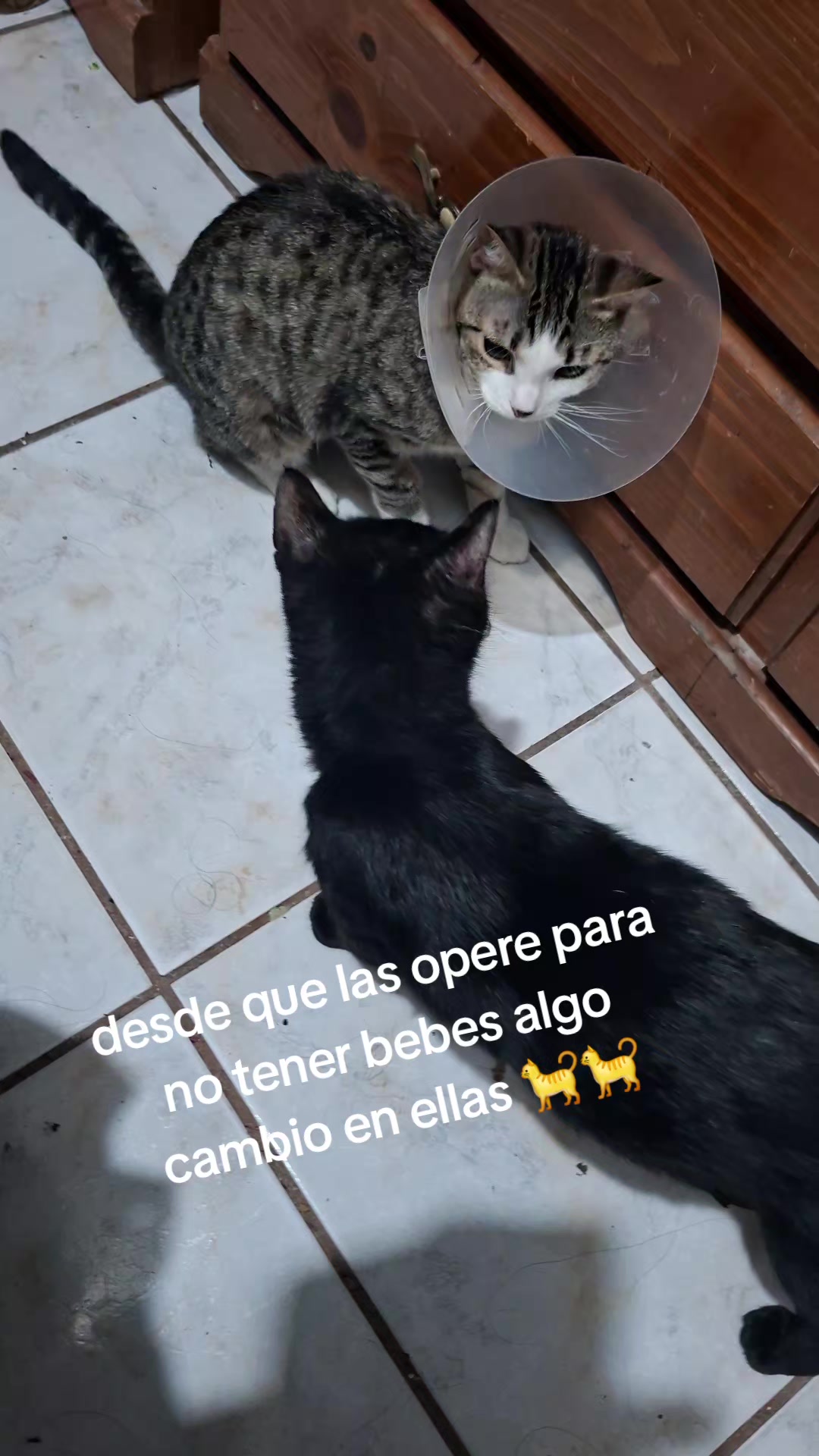 @Isabel Hernández