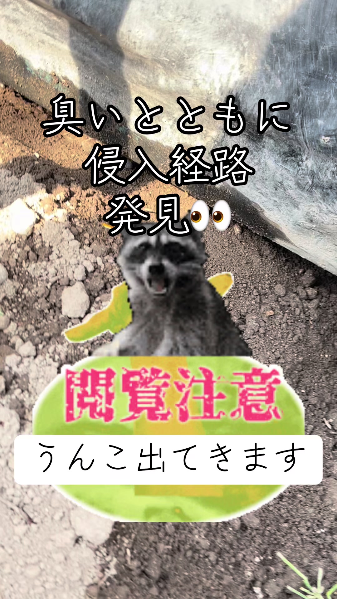 @美味しいトマトの研究所🍅🦌