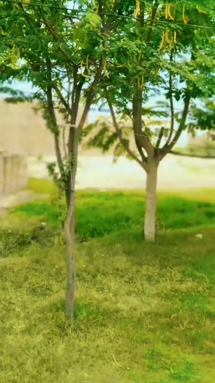 @rizwanmanu786