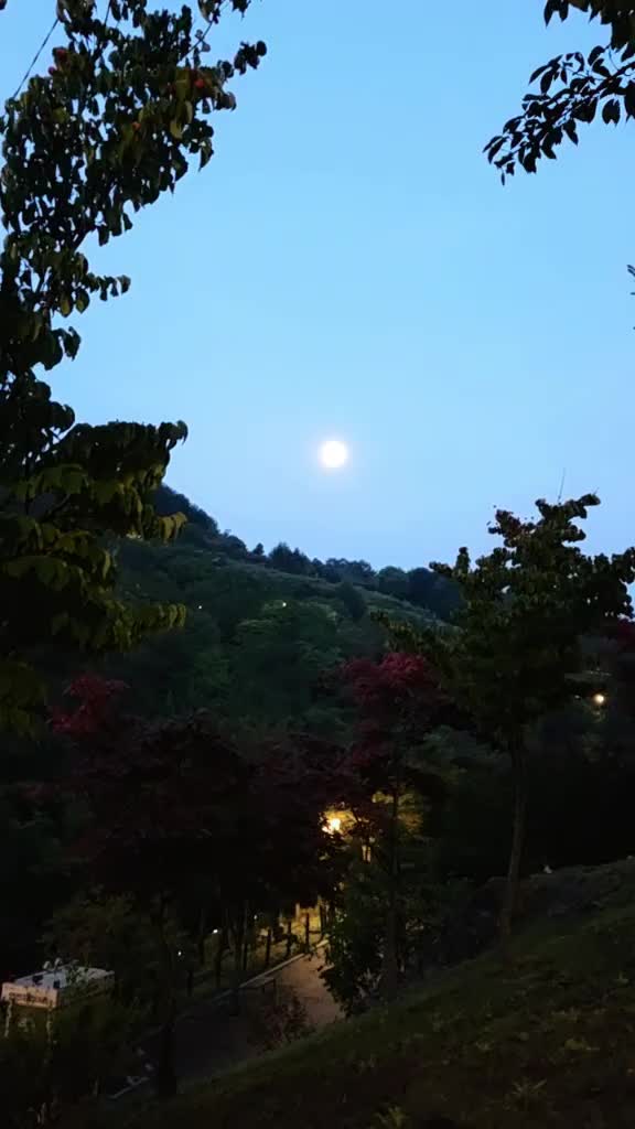 @법무사