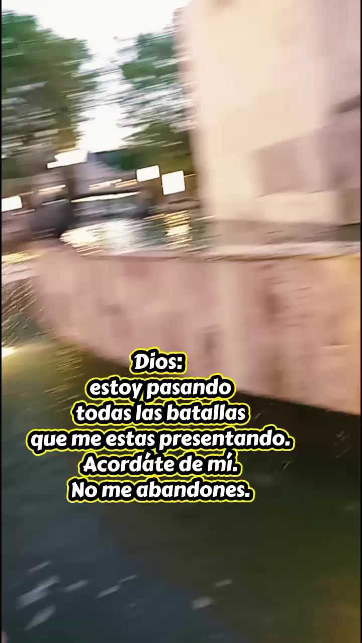 @SiRENALiS