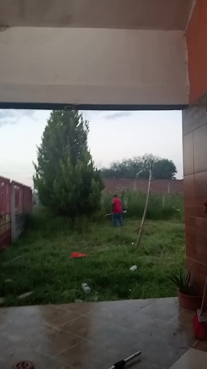 @Silvia Del Angel