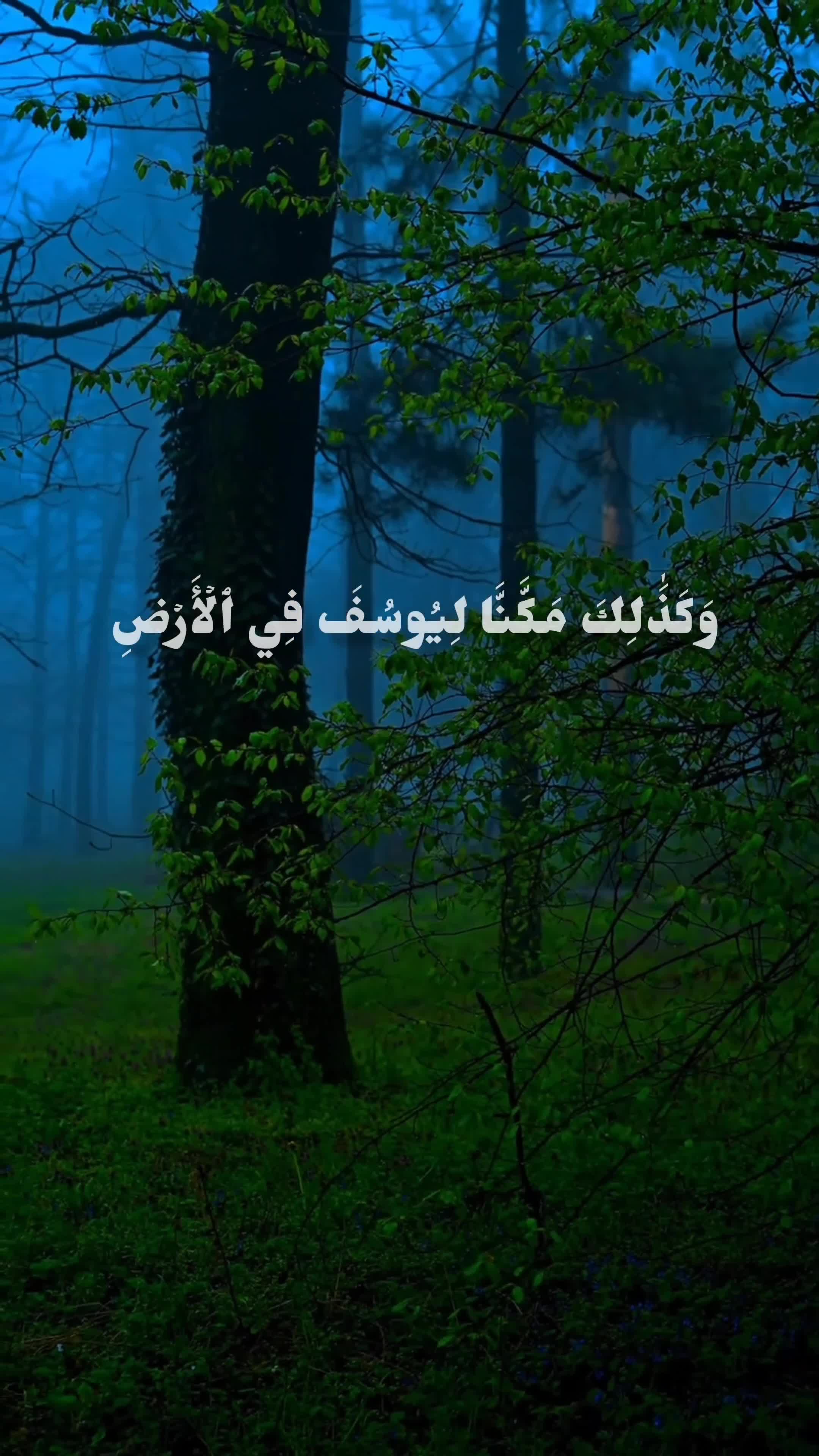 @ابِـن عَـقـيِل||𝟐𝟎𝟎𝟖/