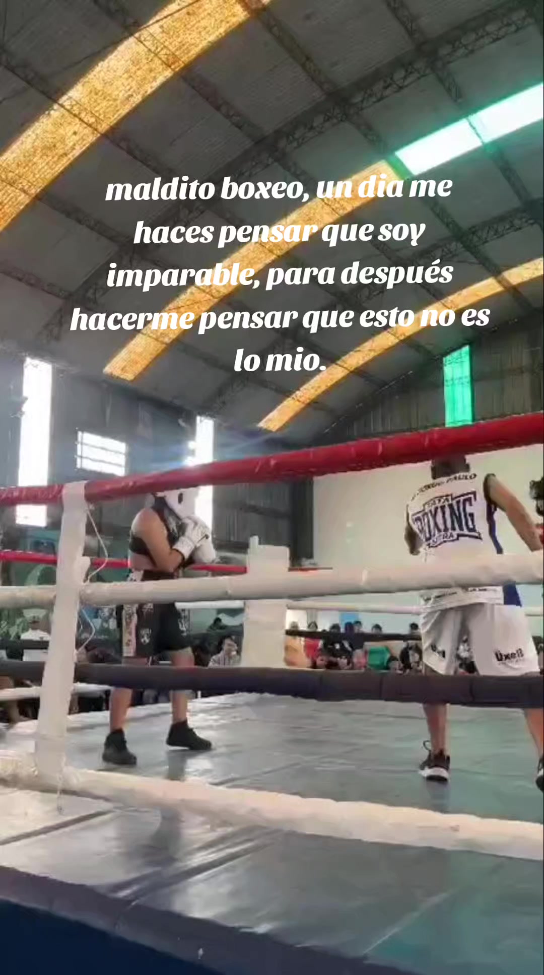 @lulu.catita💸