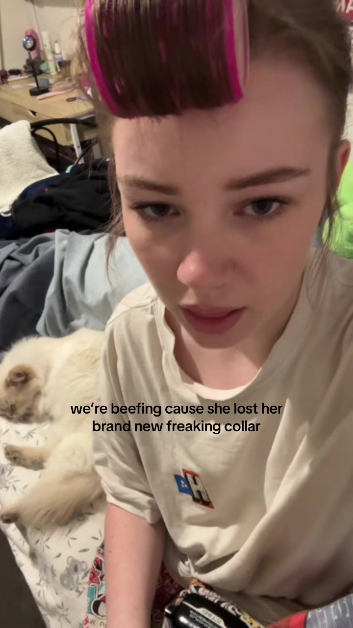 @ev 🪽