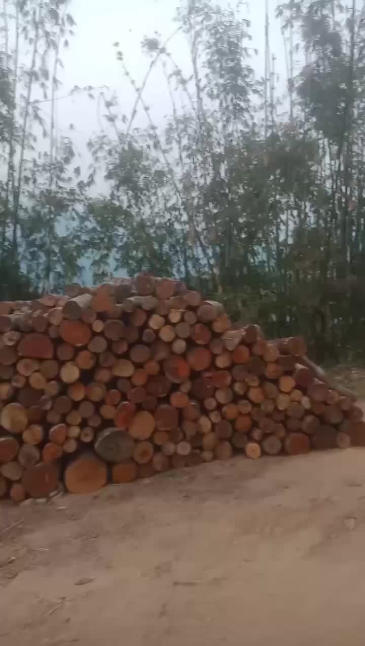 @Sastri Kanxa