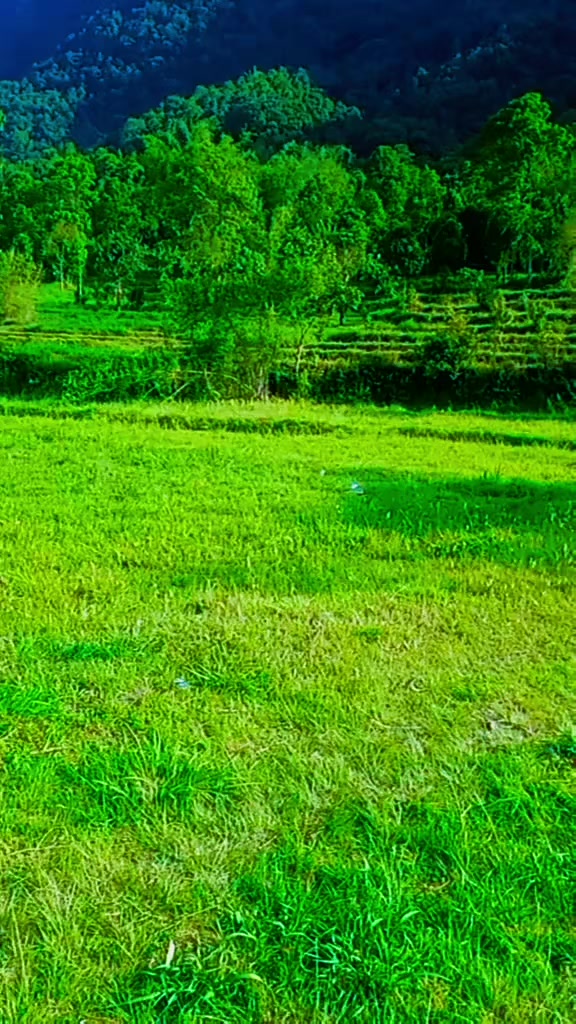 @dil k raja ❤
