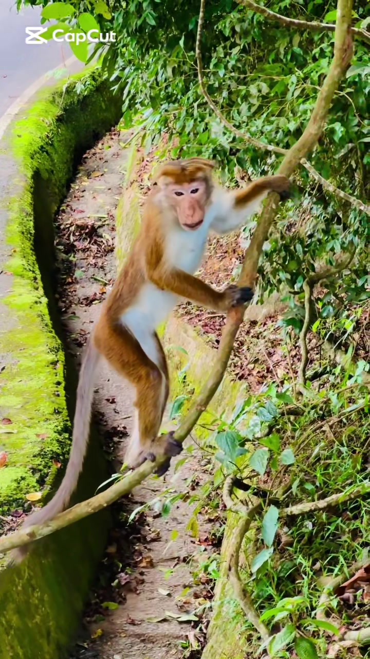 @VARADHA