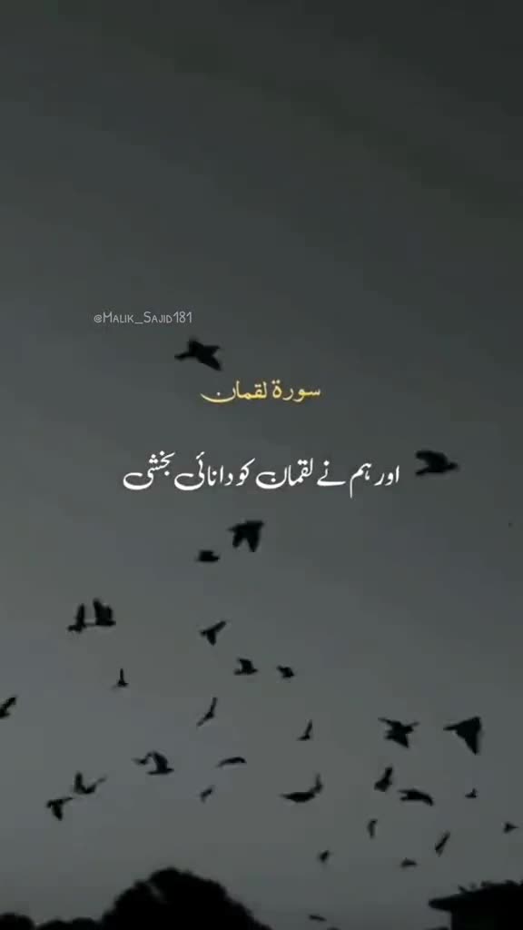 @🥀Malik_Sajid181💫