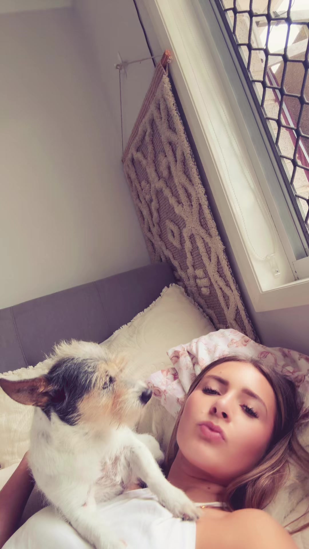 @domsspam_