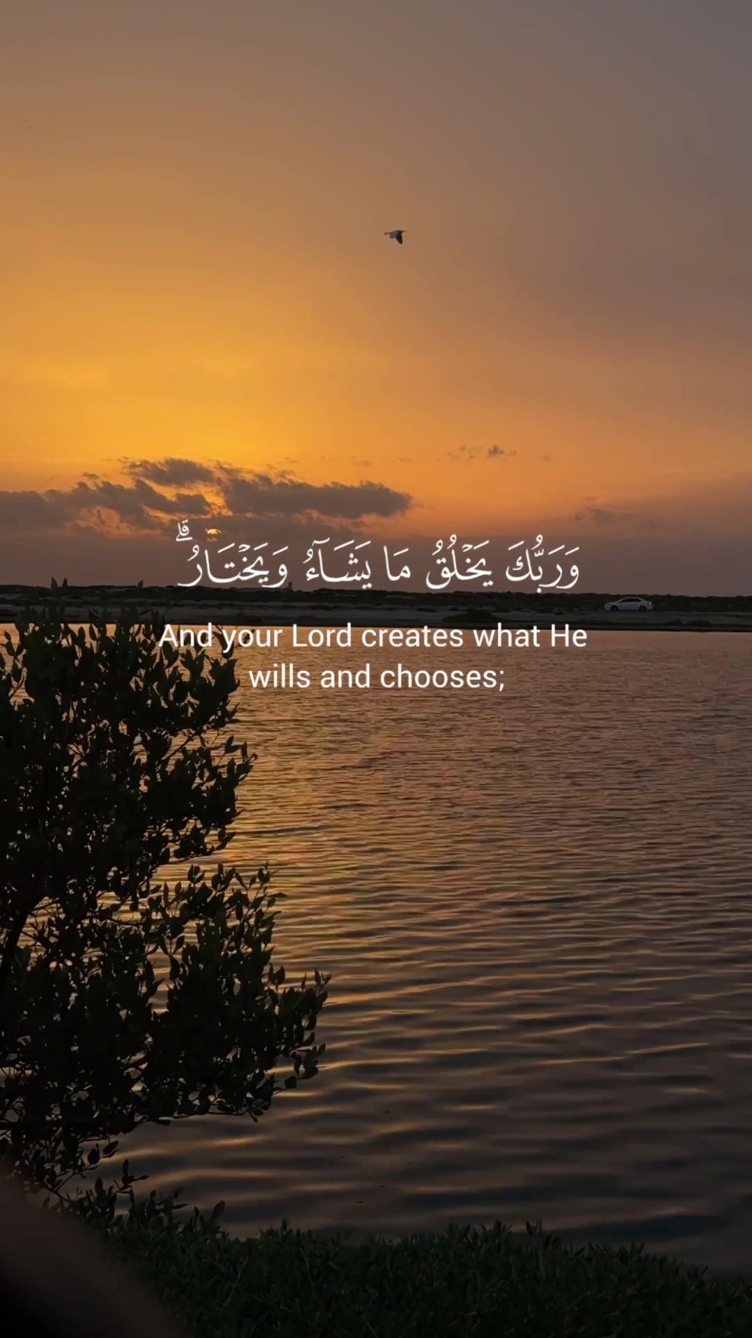 @سِــين | SEEN
