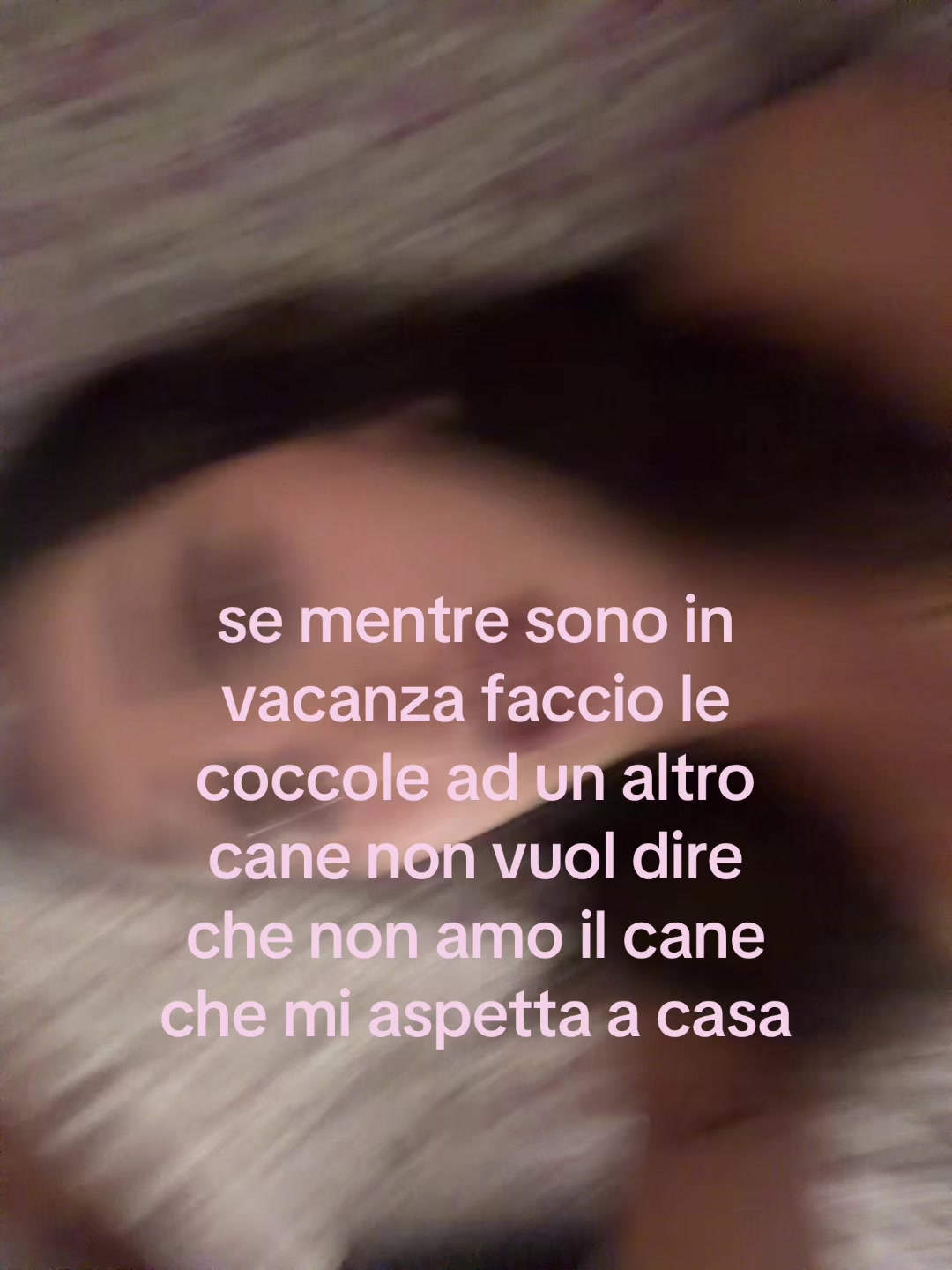 @polpetta
