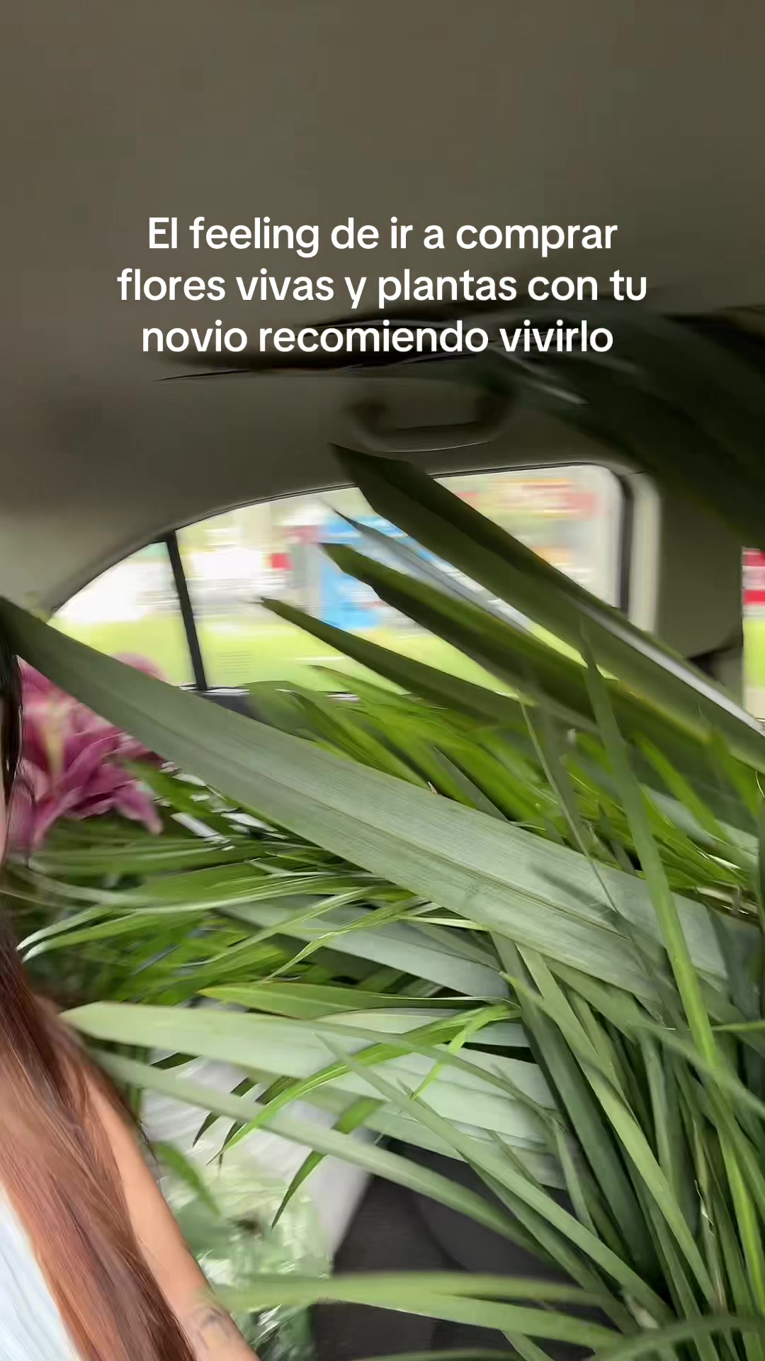 @Chio_san