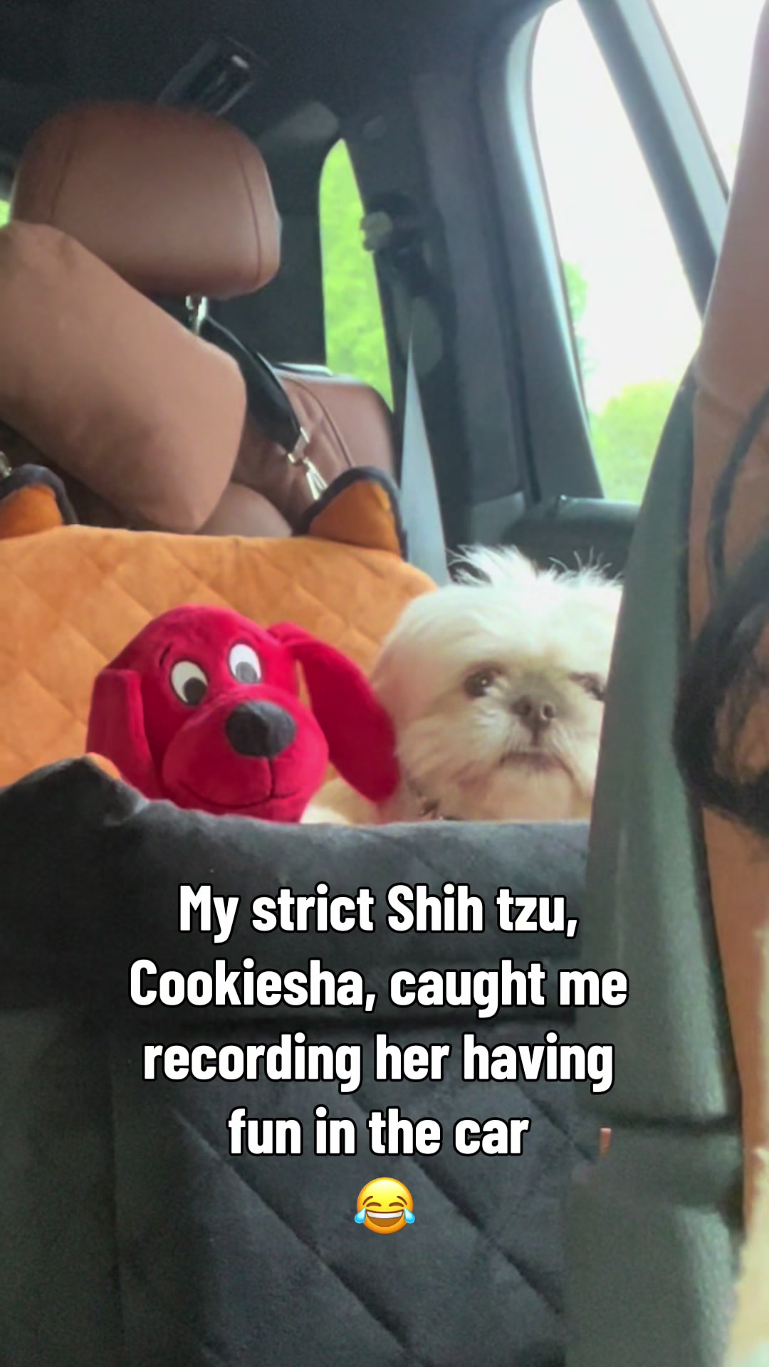 @nitaandcookiesha