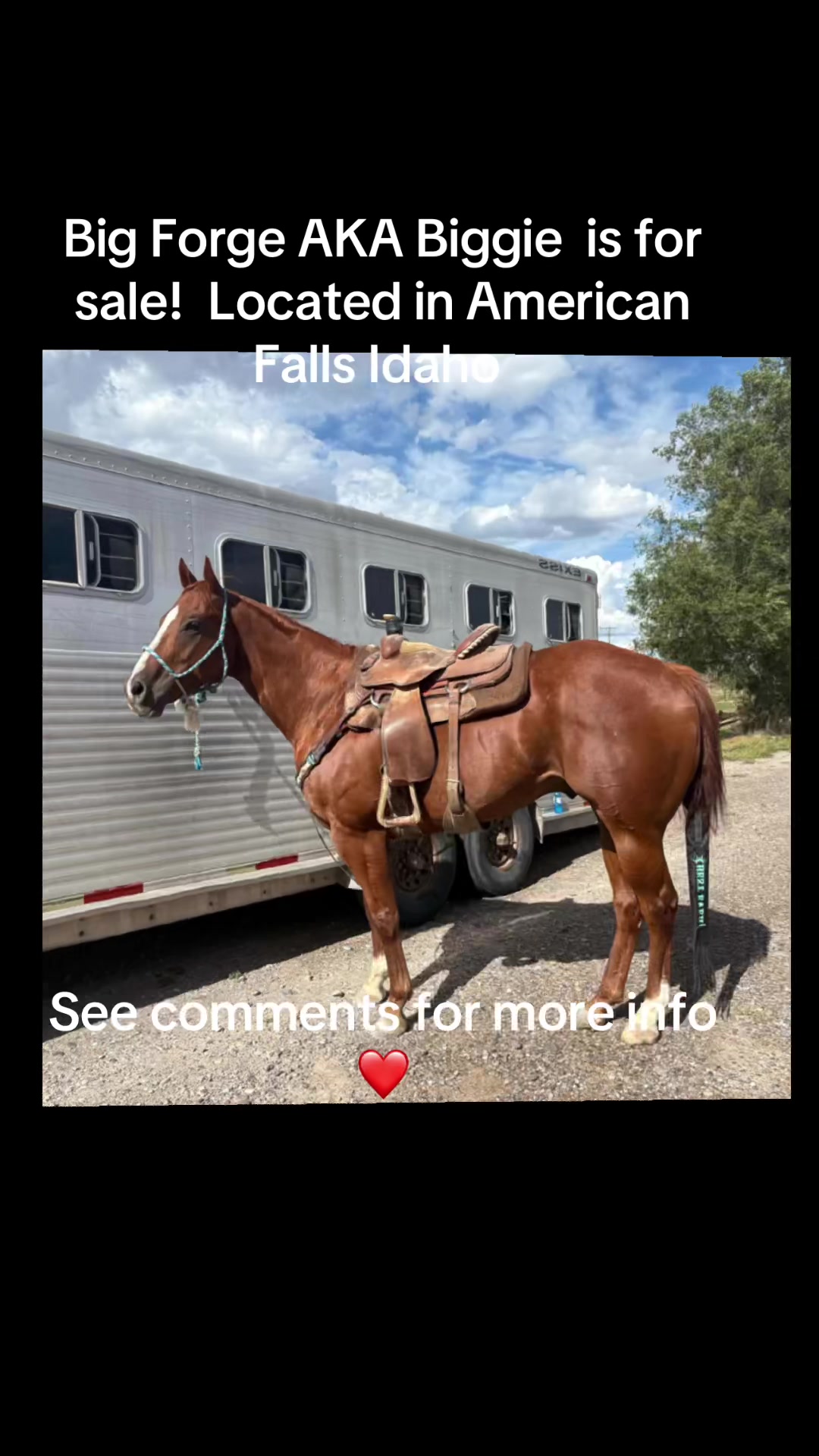 @laramie.wheeler