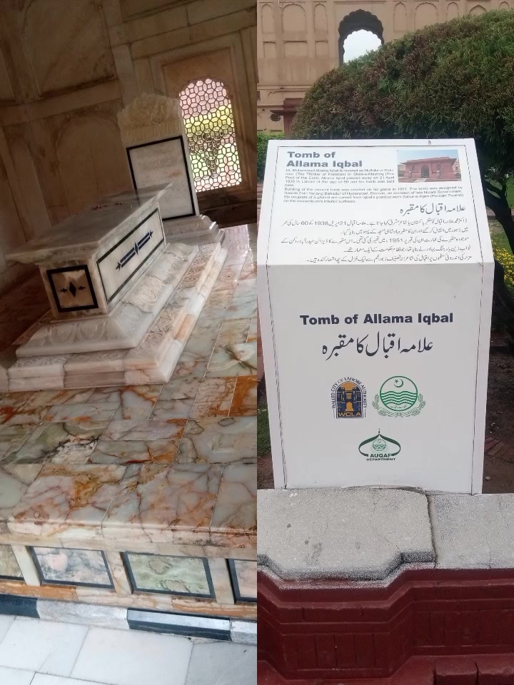 @Khokhar-hu-yar