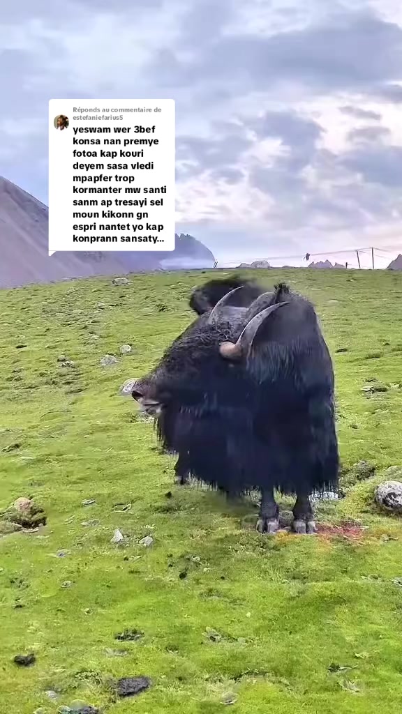 @+50940946546